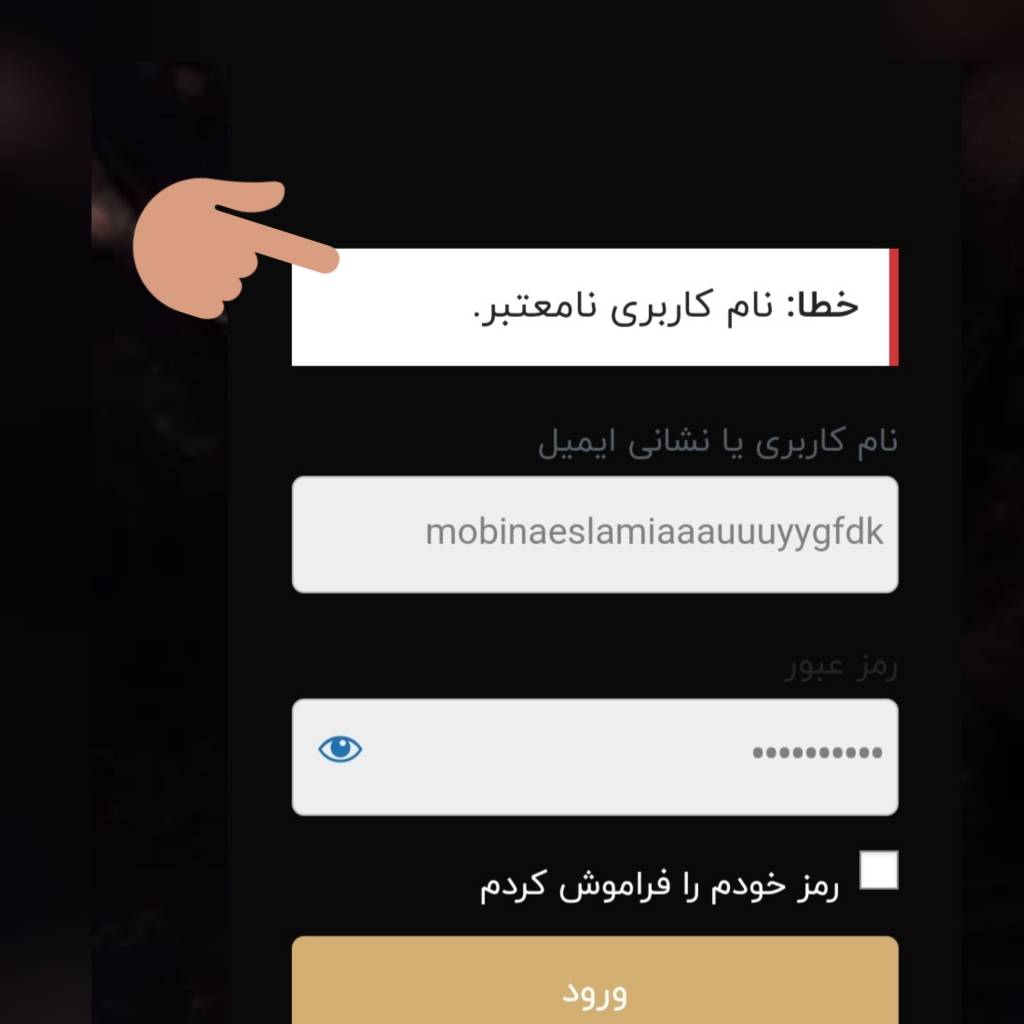 ارور پسورد سایت